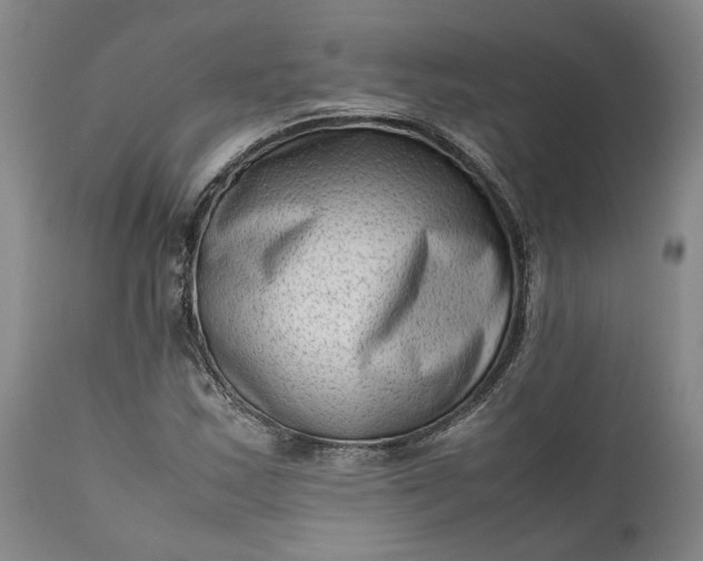 X0000111191163200907151342