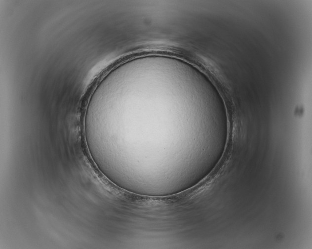 X0000111191164200907151342