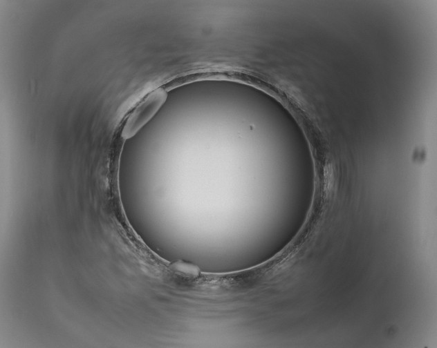 X0000111191165200907151342