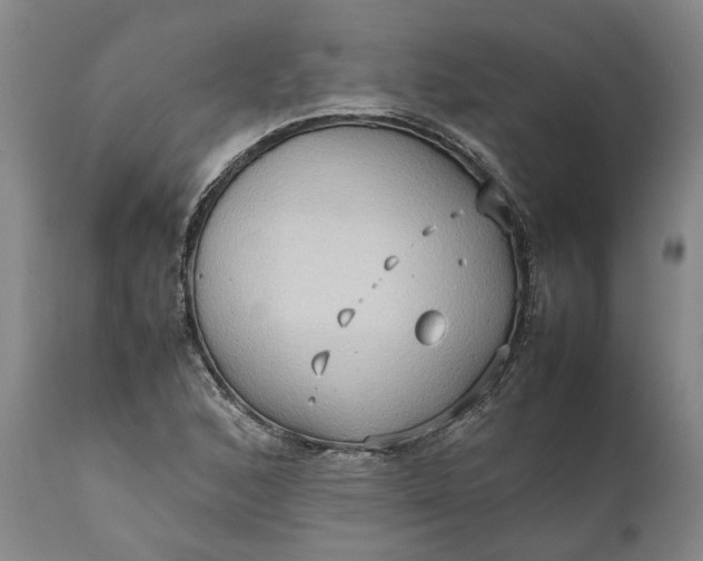 X0000111191168200907151342