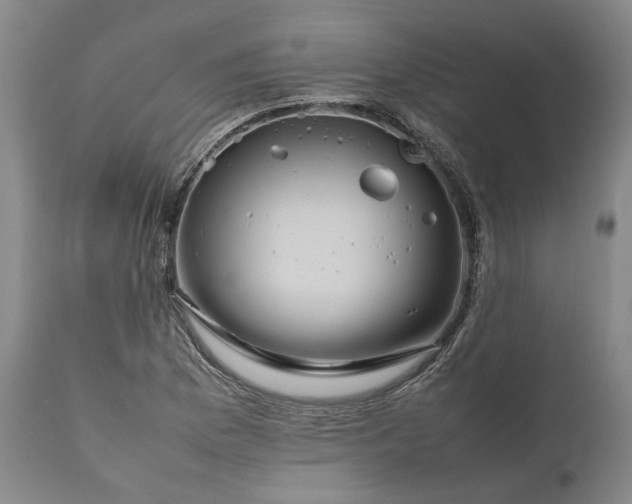 X0000111191169200907151342