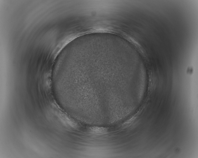 X0000111191170200907151342