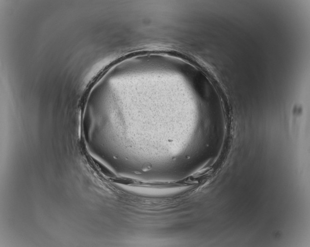 X0000111191171200907151342