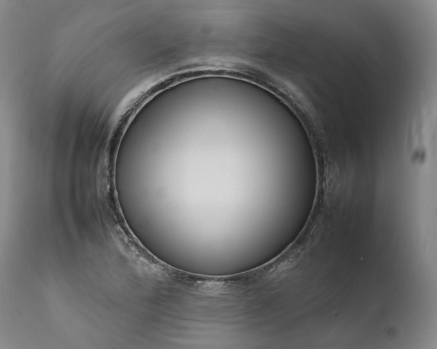 X0000111191172200907151342