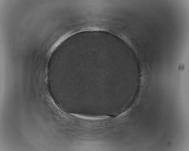 X0000111191173200907151342