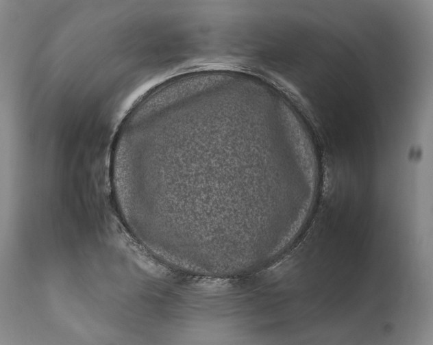 X0000111191174200907151342