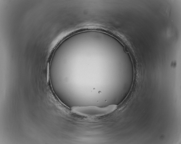 X0000111191175200907151342