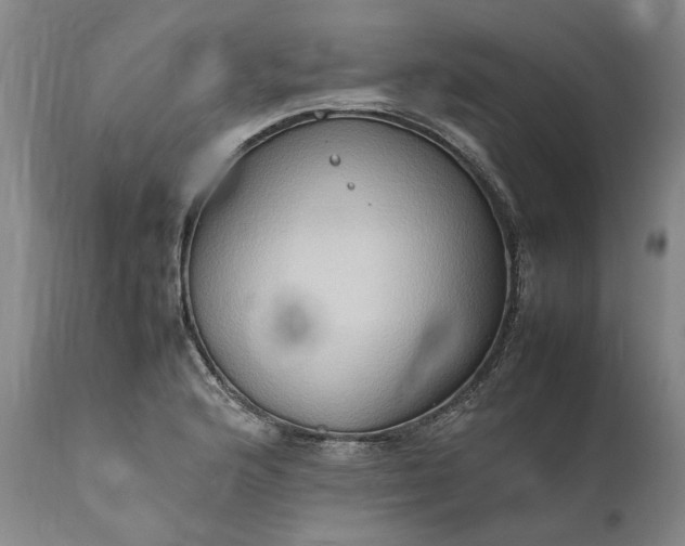 X0000111191176200907151342