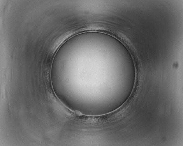 X0000111191177200907151342