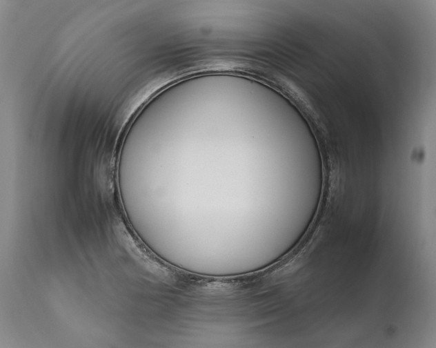 X0000111191178200907151342