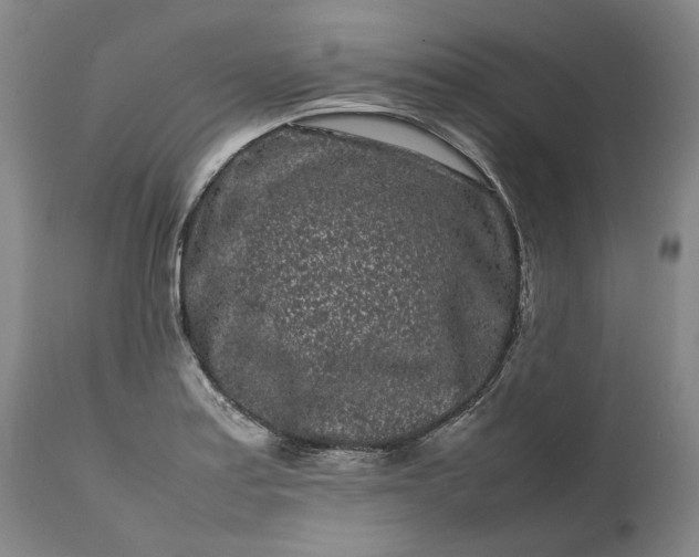 X0000111191179200907151342