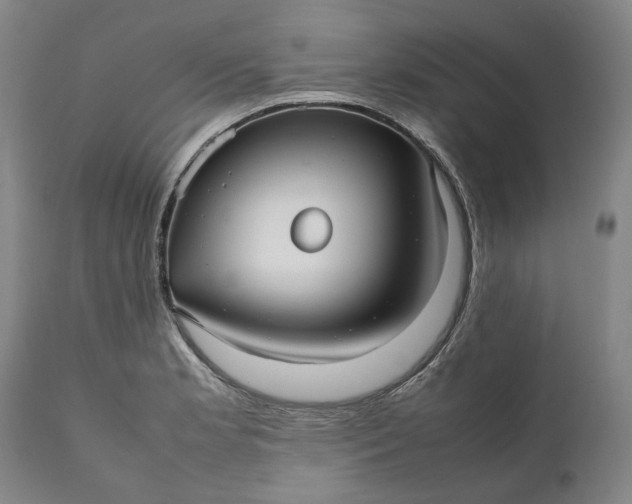 X0000111191181200907151342