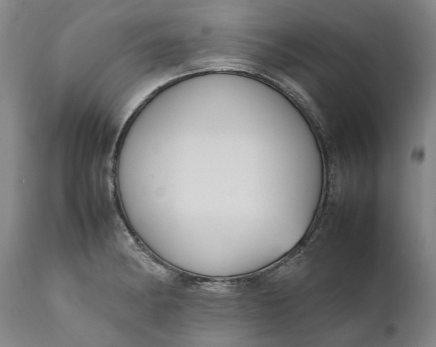 X0000111191182200907151342