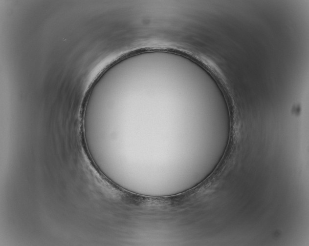 X0000111191183200907151342