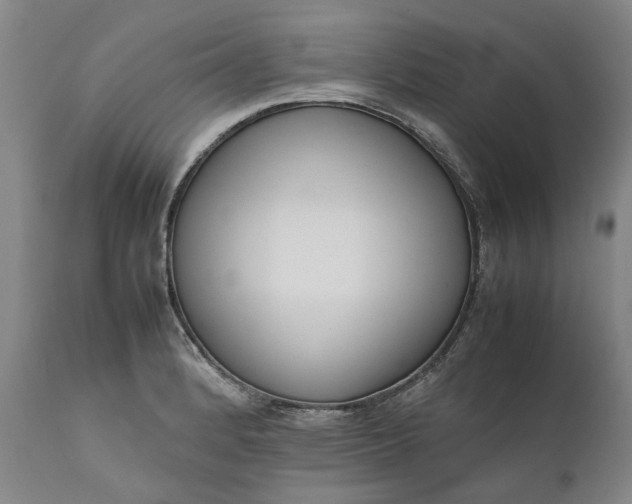 X0000111191184200907151342