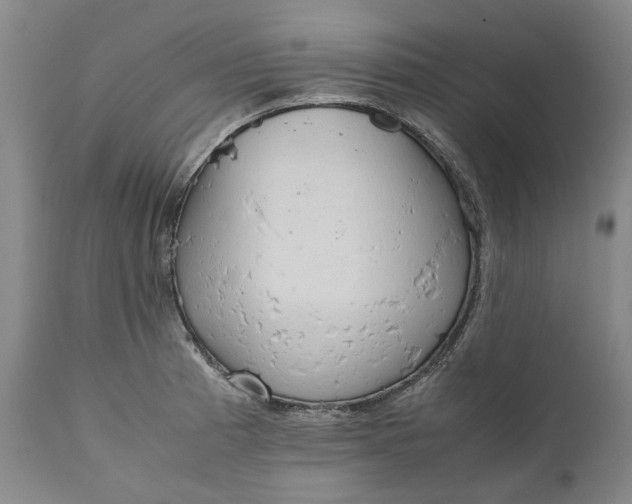 X0000111191185200907151342