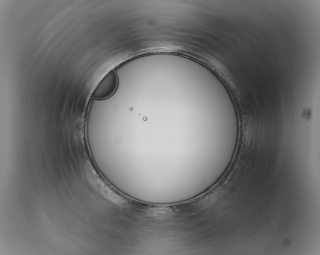 X0000111191186200907151342