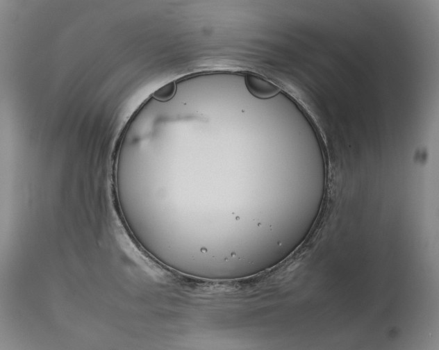 X0000111191187200907151342