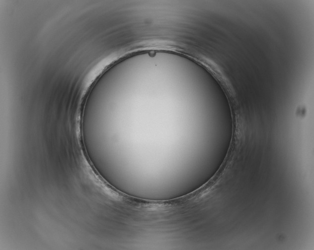 X0000111191188200907151342