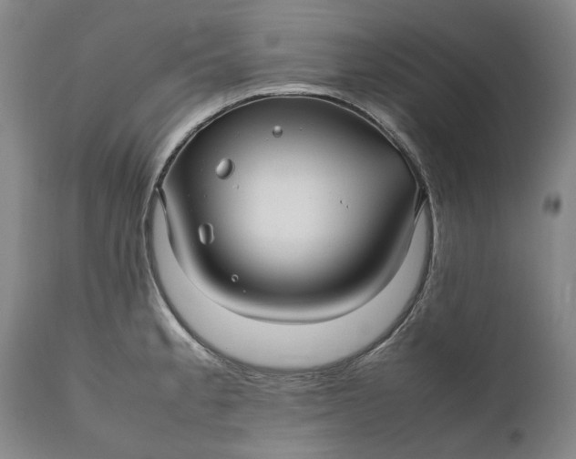 X0000111191189200907151342