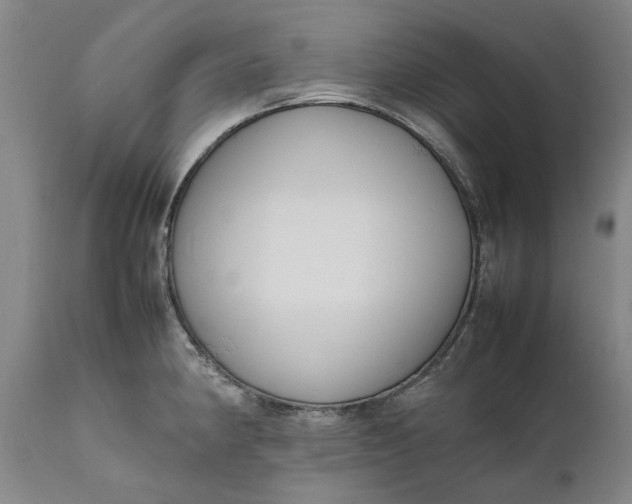 X0000111191190200907151341