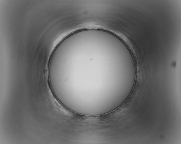 X0000111191191200907151341