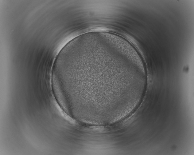 X0000111191194200907151341