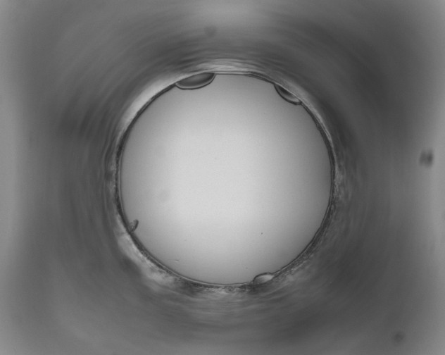 X0000111191195200907151341