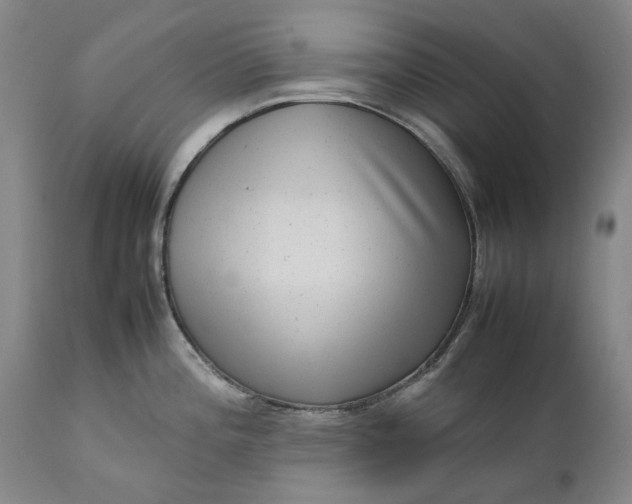 X0000111191196200907151341