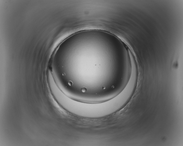 X0000111191197200907151341