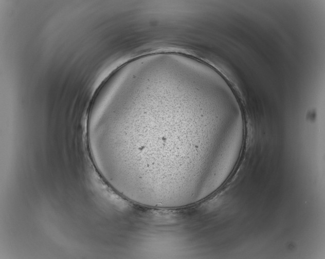 X0000111191198200907151341