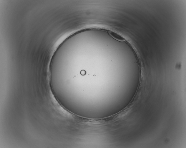 X0000111191199200907151341