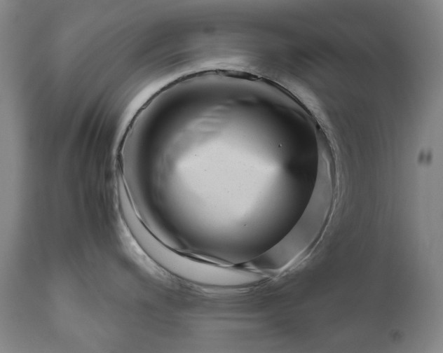 X0000111191200200907151341