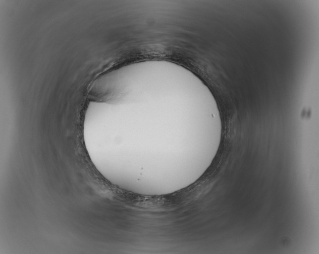 X0000111191201200907151341