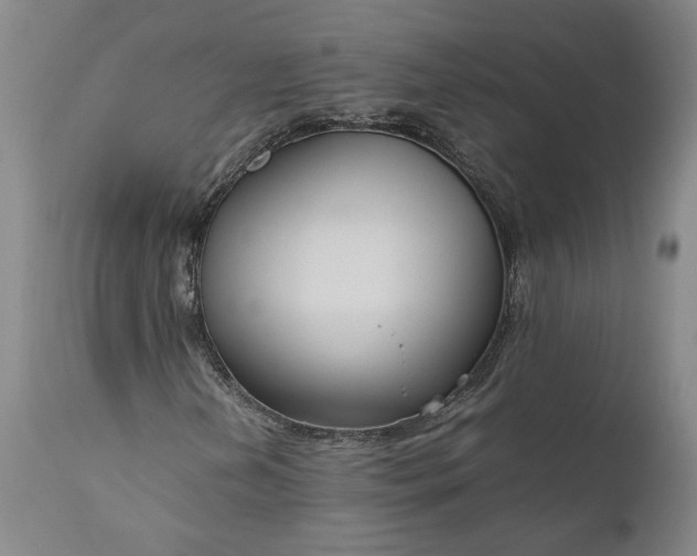 X0000111191202200907151341