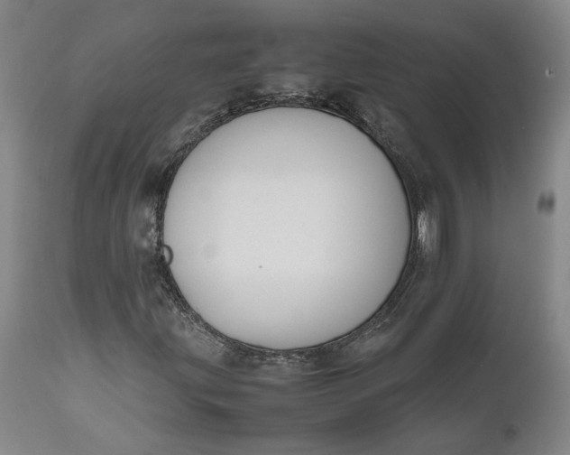 X0000111191203200907151341