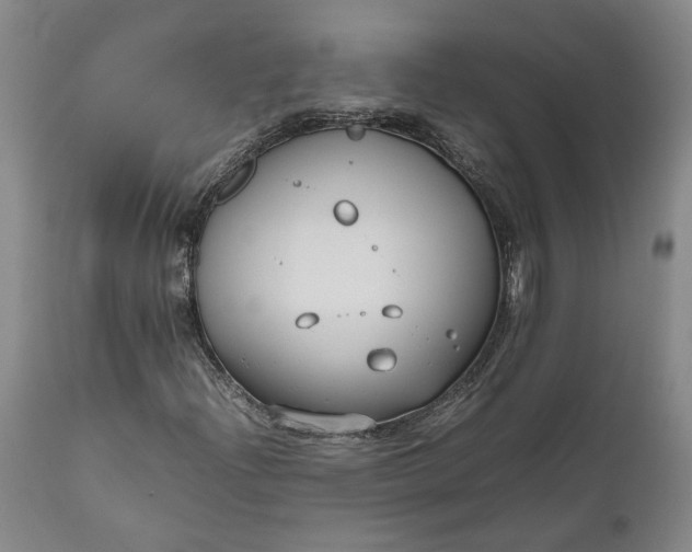 X0000111191204200907151341