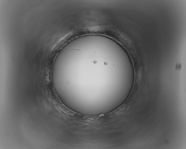 X0000111191205200907151341