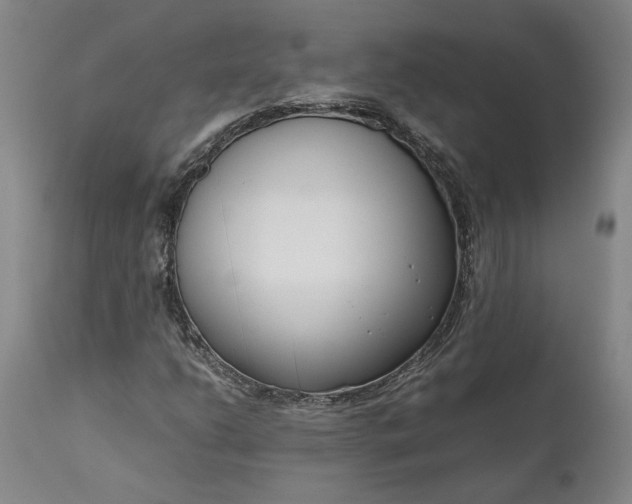 X0000111191206200907151341