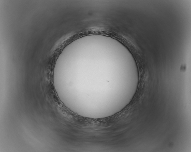 X0000111191207200907151341