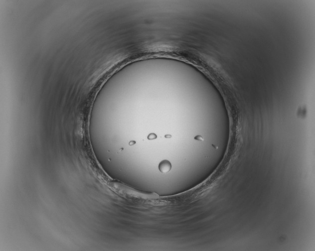 X0000111191209200907151341