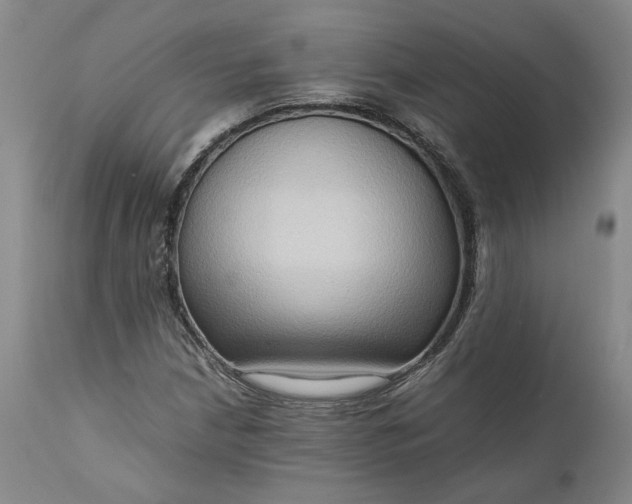 X0000111191210200907151341