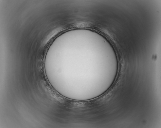 X0000111191211200907151341