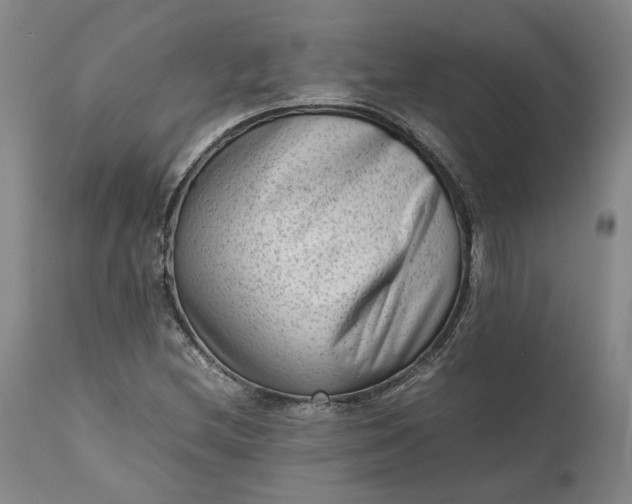 X0000111191212200907151341