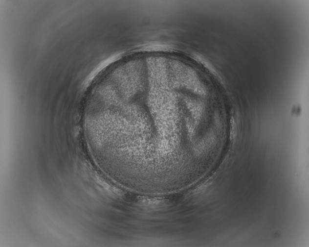 X0000111191213200907151341