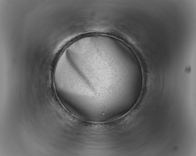 X0000111191214200907151341