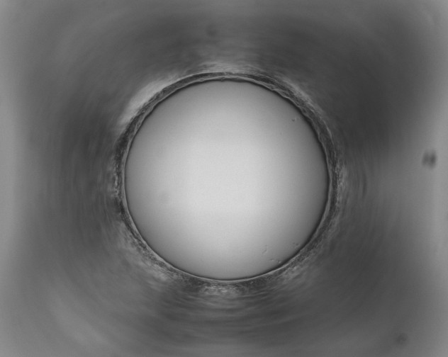 X0000111191215200907151341