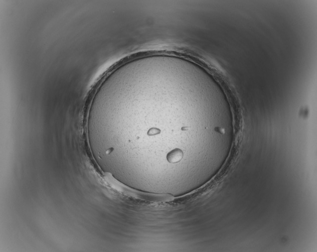 X0000111191216200907151341