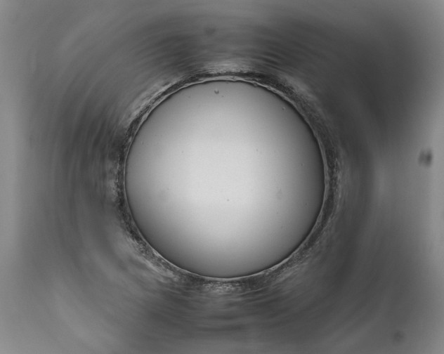 X0000111191217200907151341