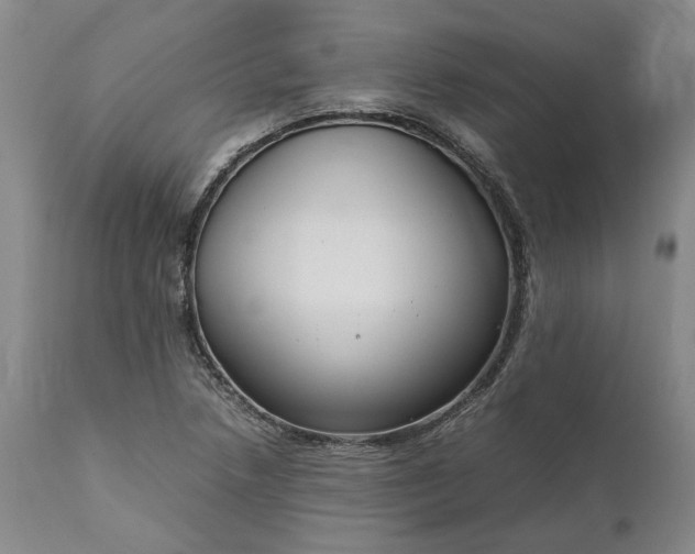 X0000111191218200907151341